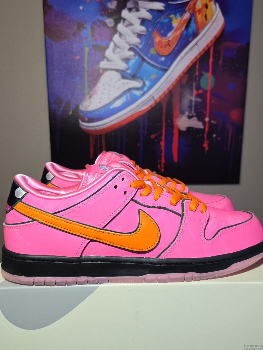 The Powerpuff Girls x Nike Dunk Pro SB QS Low Blossom